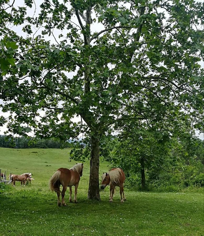 Monte Termine Country House Rioveggio Bagian luar foto