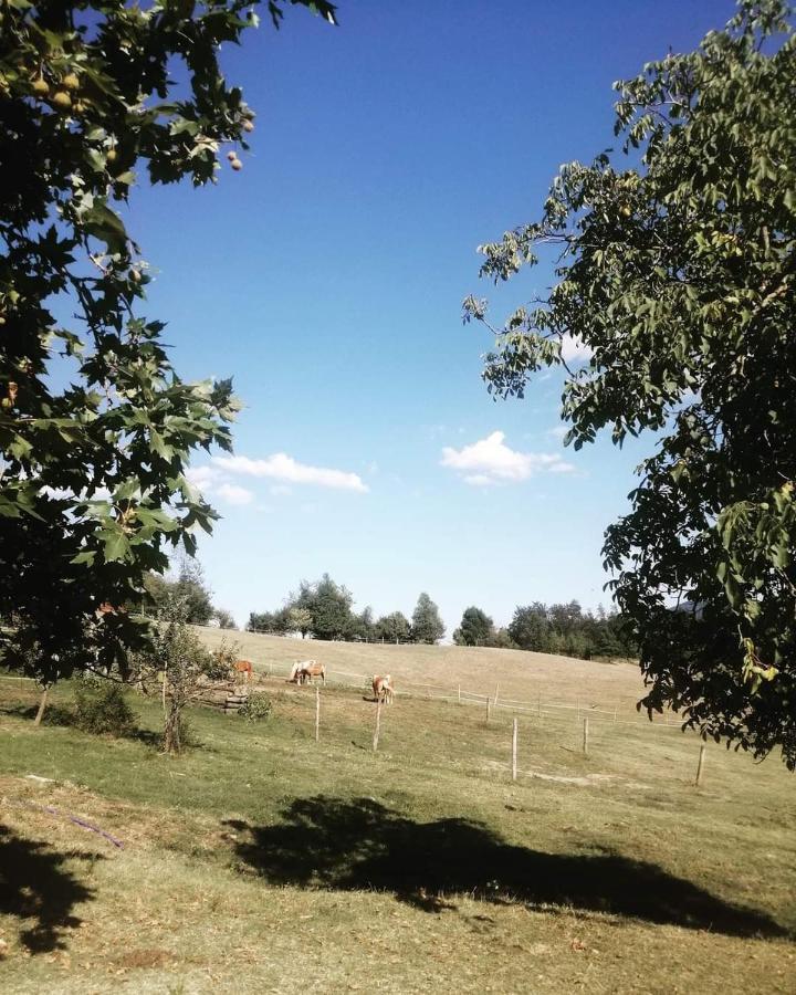 Monte Termine Country House Rioveggio Bagian luar foto