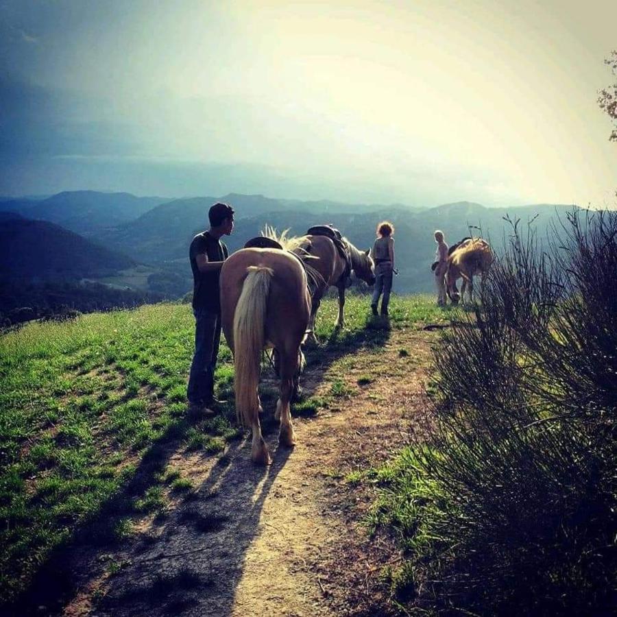 Monte Termine Country House Rioveggio Bagian luar foto