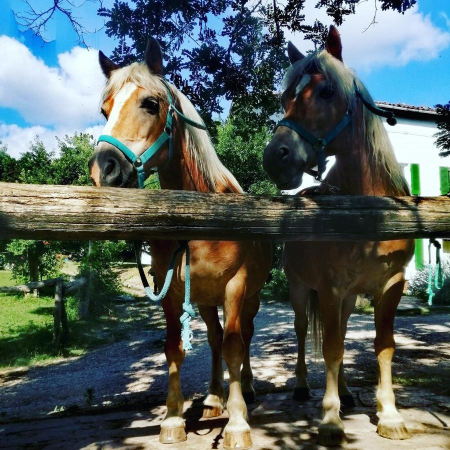 Monte Termine Country House Rioveggio Bagian luar foto
