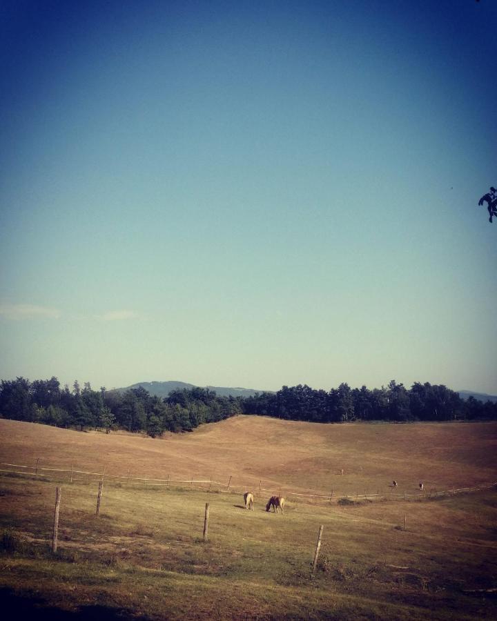 Monte Termine Country House Rioveggio Bagian luar foto