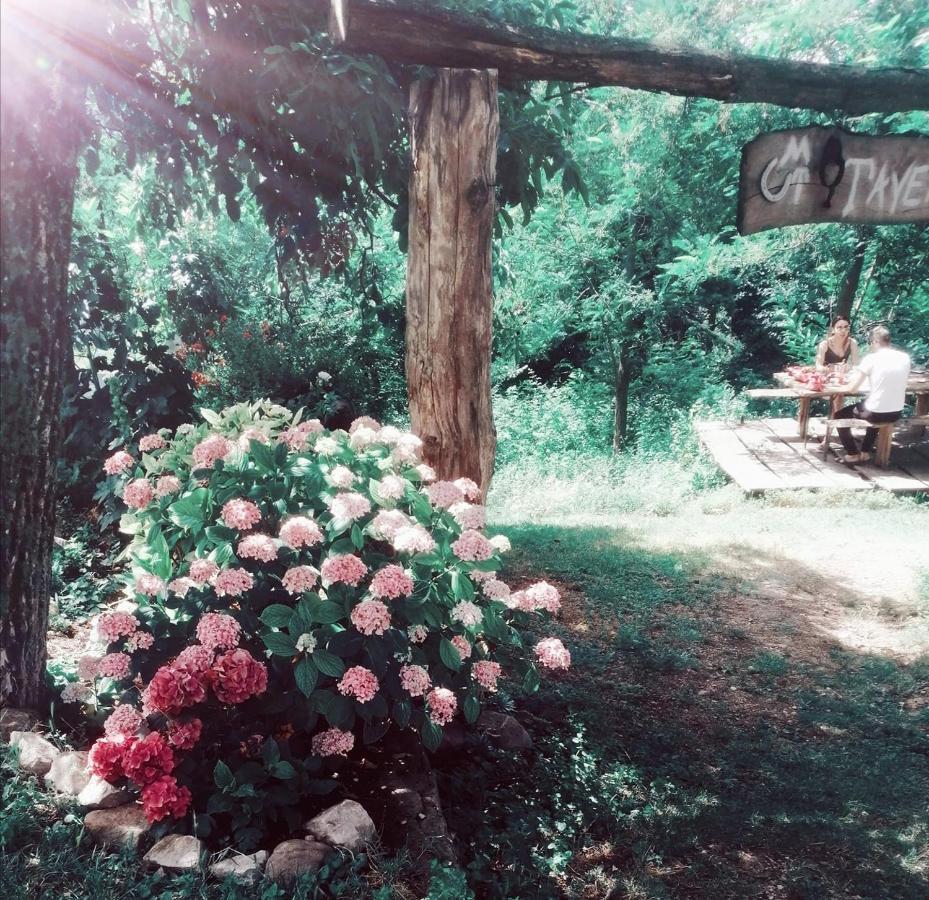 Monte Termine Country House Rioveggio Bagian luar foto