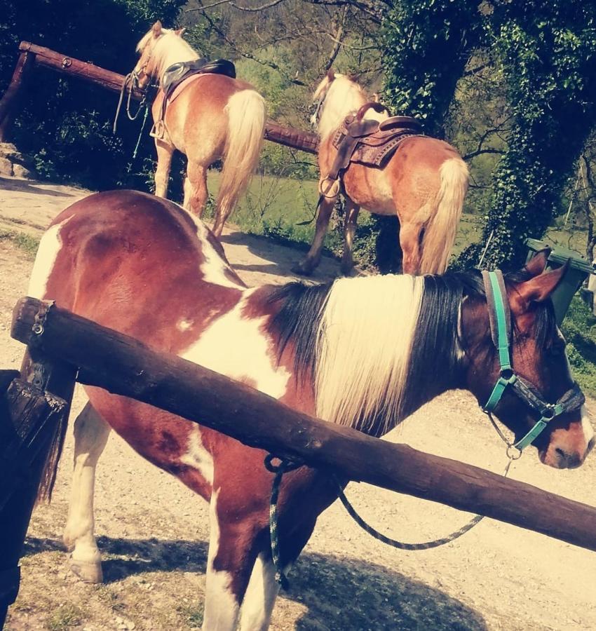 Monte Termine Country House Rioveggio Bagian luar foto