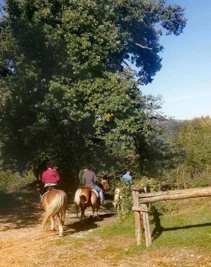 Monte Termine Country House Rioveggio Bagian luar foto