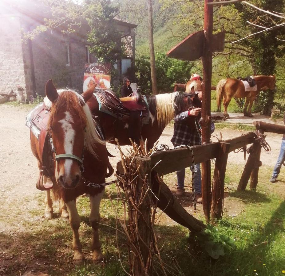 Monte Termine Country House Rioveggio Bagian luar foto