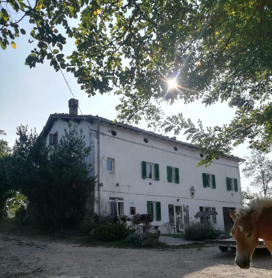 Monte Termine Country House Rioveggio Bagian luar foto